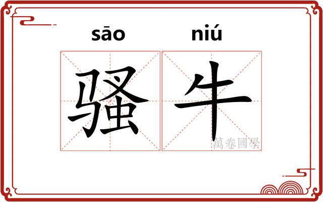 骚牛 骚牛