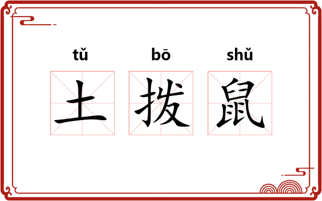 土拨鼠