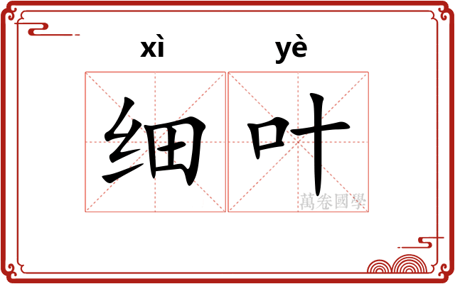 细叶