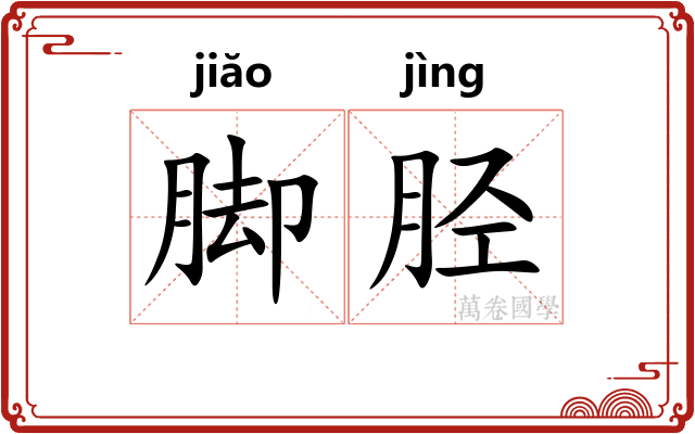 脚胫