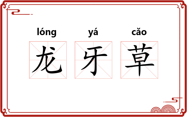 龙牙草
