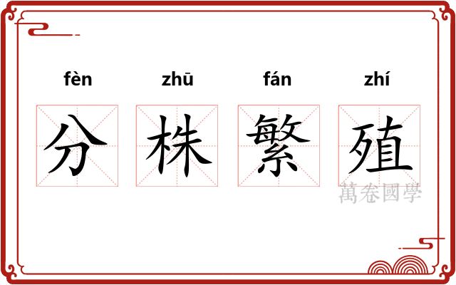 分株繁殖