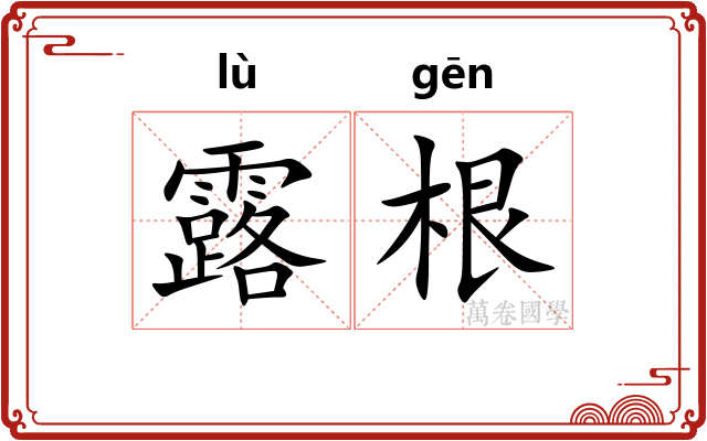 露根 露根