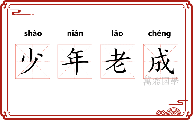少年老成