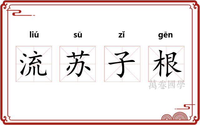 流苏子根 流苏子根