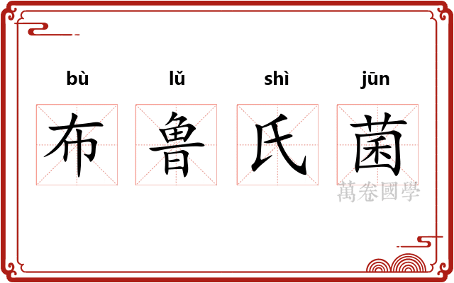 布鲁氏菌