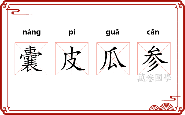 囊皮瓜参