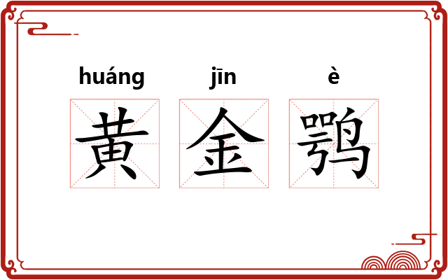 黄金鹗 黄金鹗