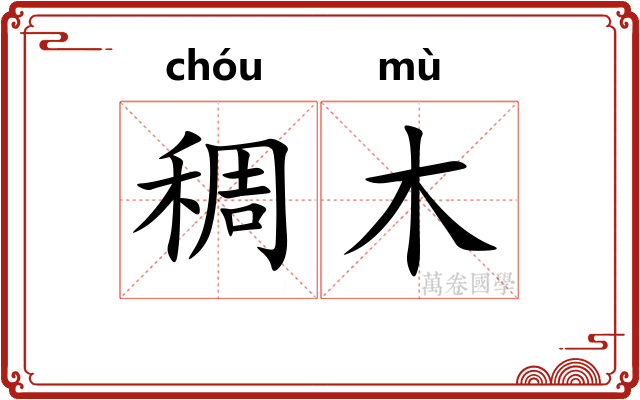 稠木