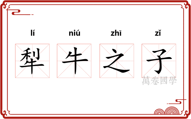 犁牛之子