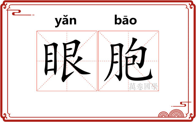 眼胞