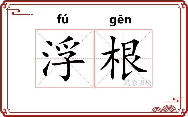 浮根 浮根