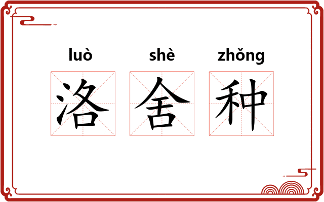 洛舍种