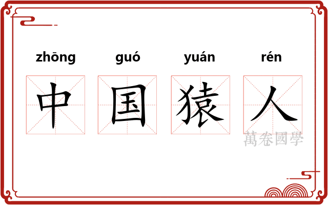 中国猿人