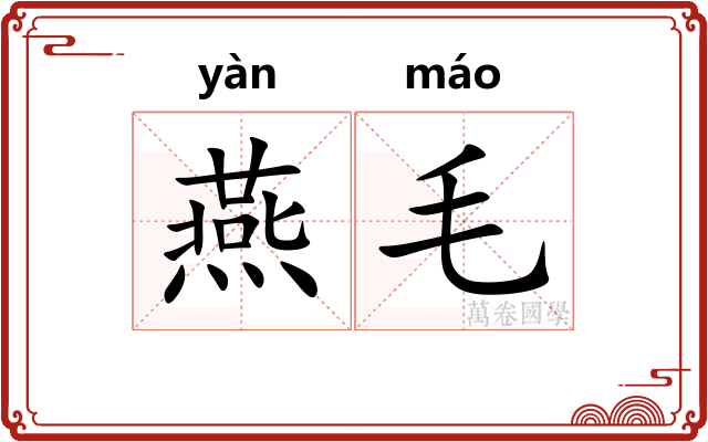 燕毛