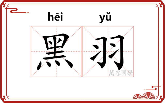 黑羽