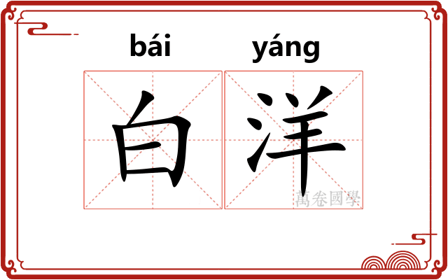 白洋