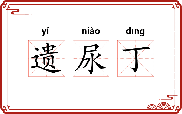 遗尿丁