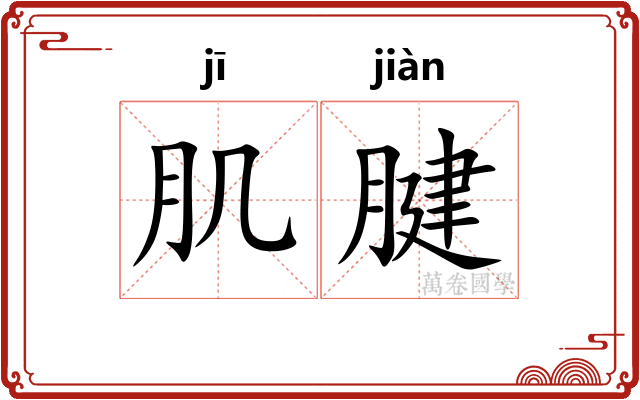 肌腱