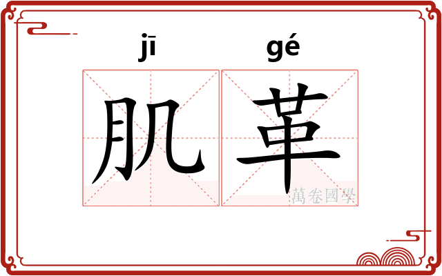 肌革