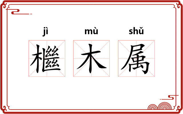 檵木属