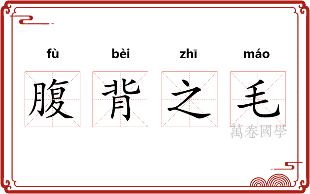 腹背之毛