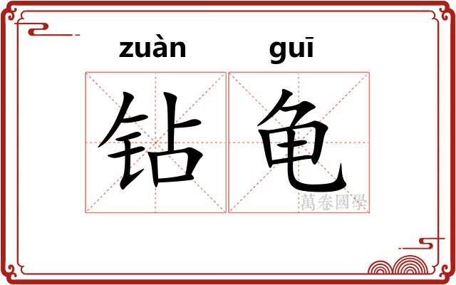 钻龟