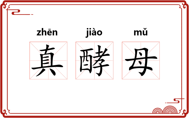 真酵母