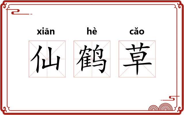 仙鹤草