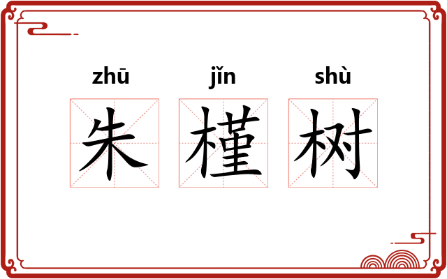 朱槿树