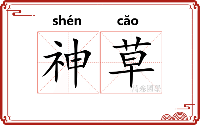 神草 神草