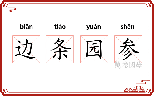 边条园参
