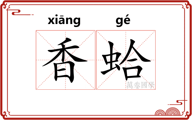 香蛤