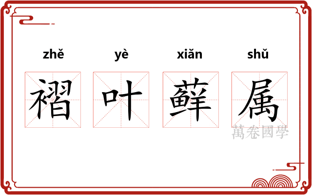 褶叶藓属 褶叶藓属