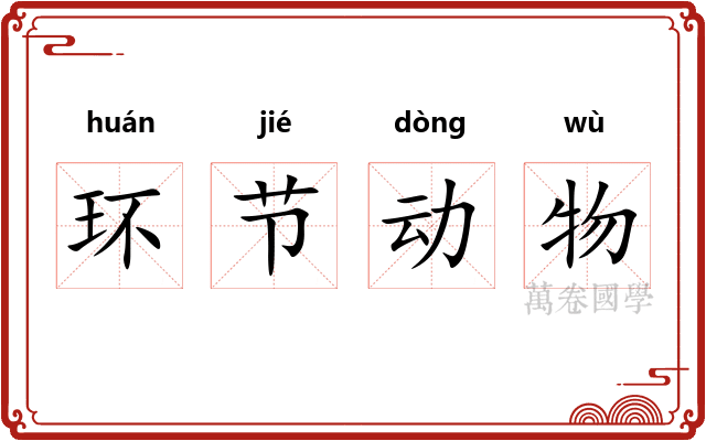 环节动物