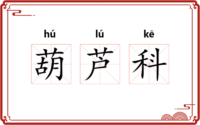 葫芦科 葫芦科