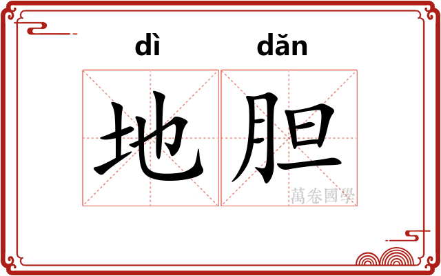 地胆