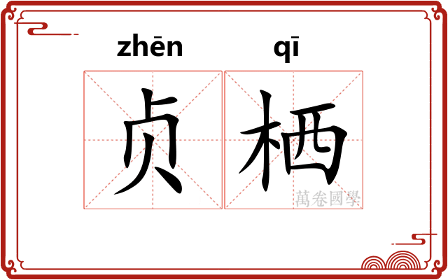 贞栖