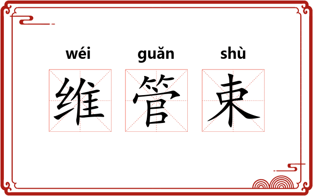 维管束
