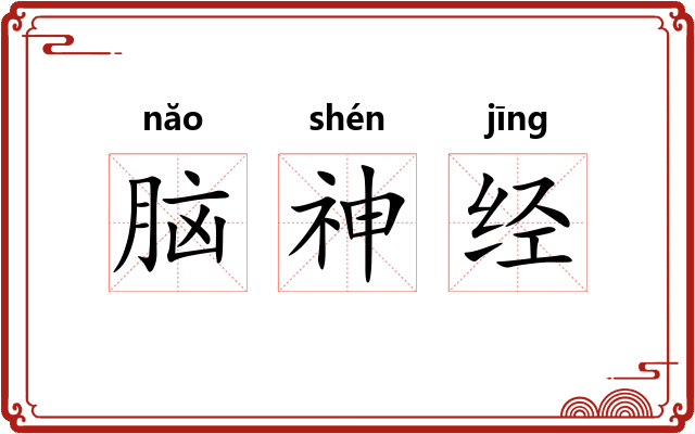 脑神经