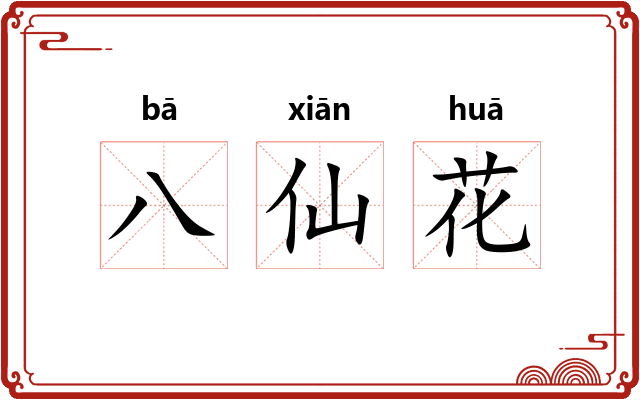 八仙花