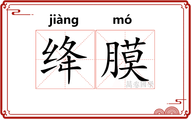 绛膜