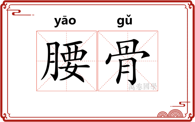 腰骨