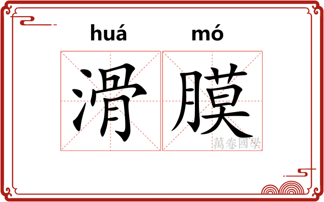 滑膜