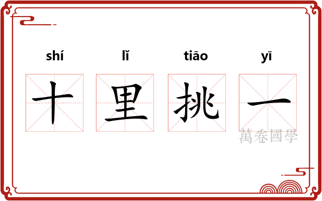 十里挑一