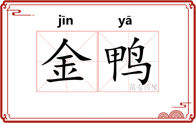 金鸭