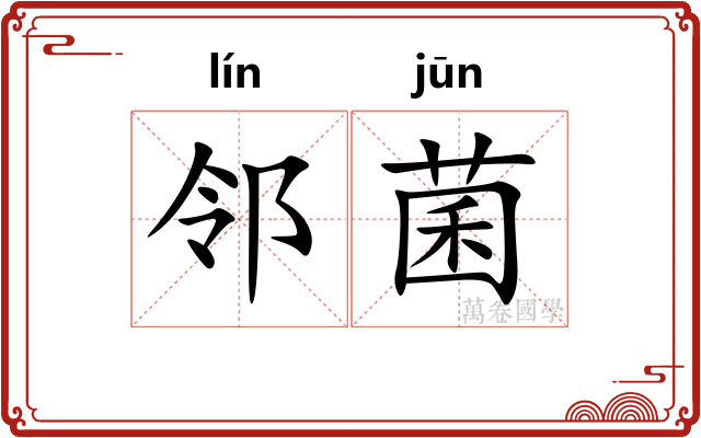 邻菌