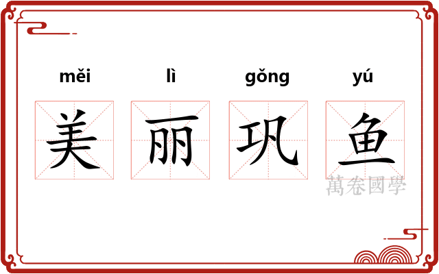 美丽巩鱼