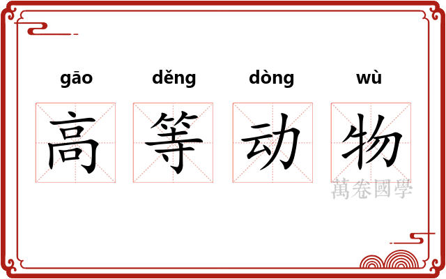 高等动物