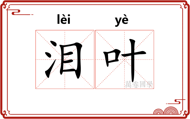 泪叶